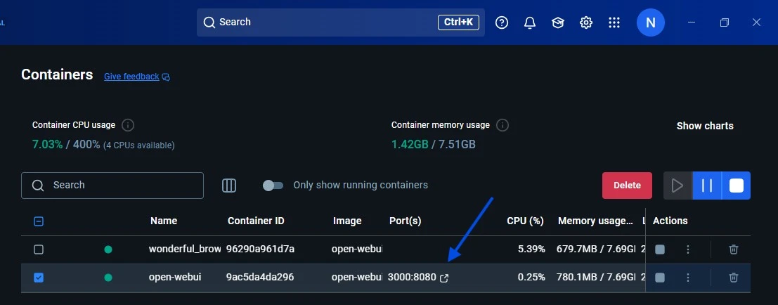 running deepSeek in docker